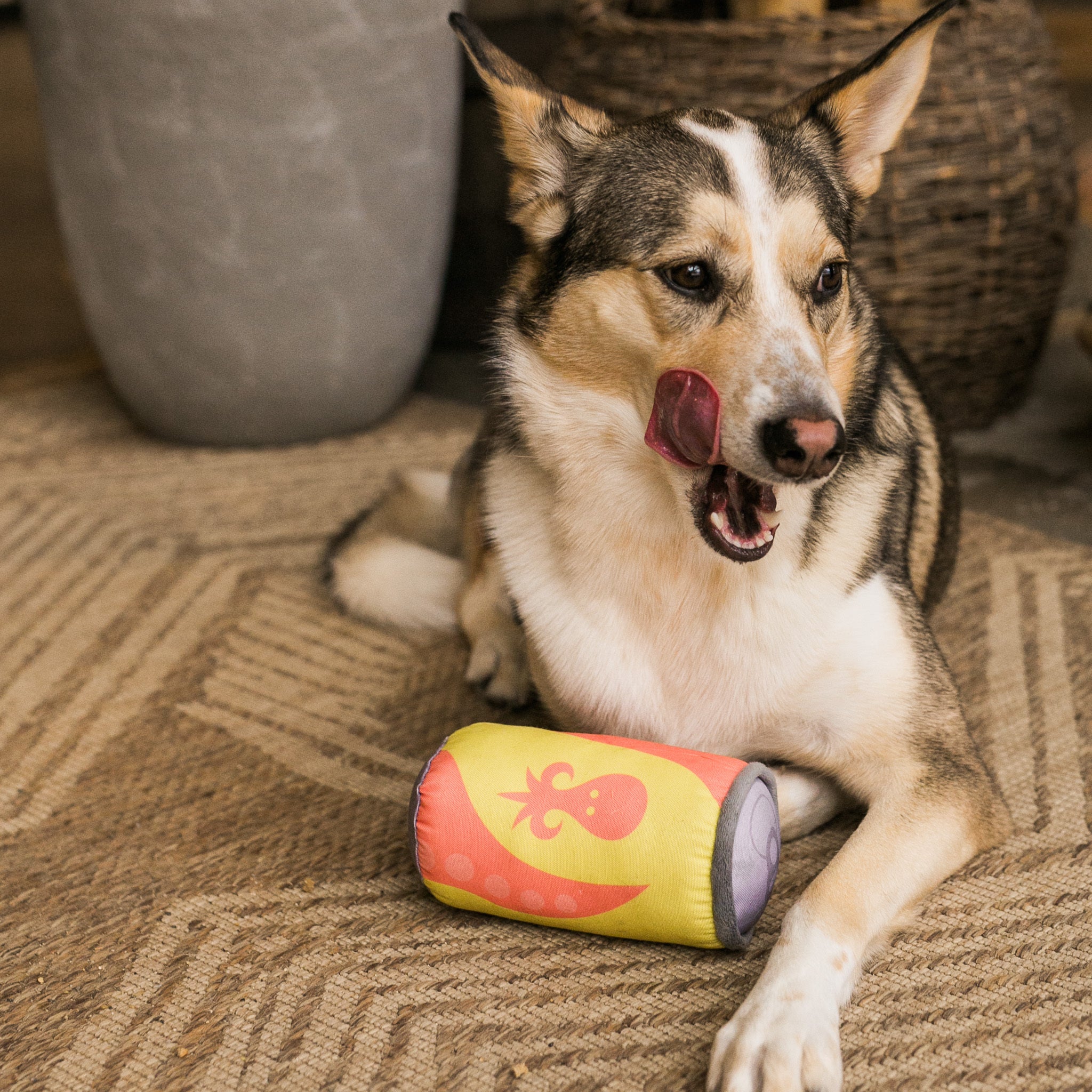 Juicii Beer Can Dog Toy Kilter Brewing Co.